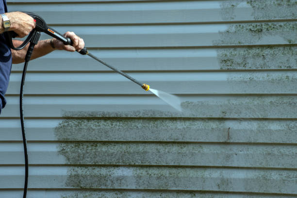 Best Driveway Pressure Washing  in Dillsboro, IN