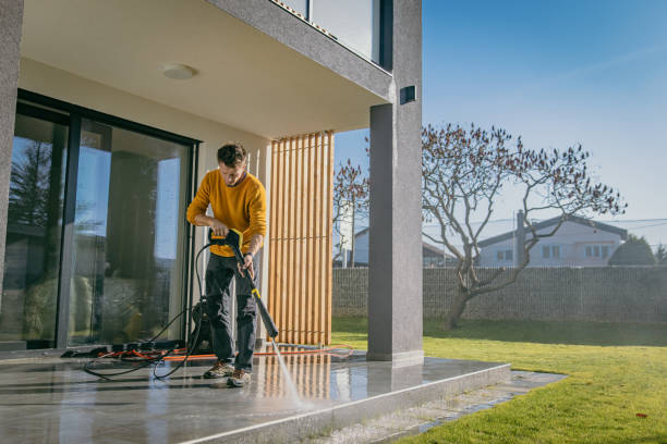 Best Gutter Cleaning  in Dillsboro, IN
